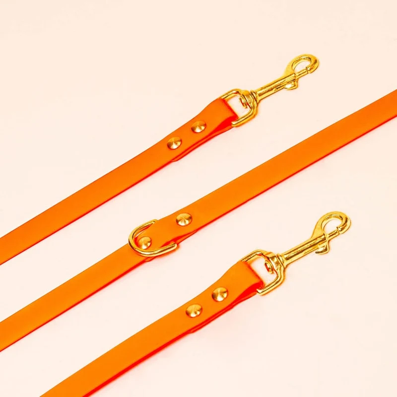Laisse pour chien en biothane