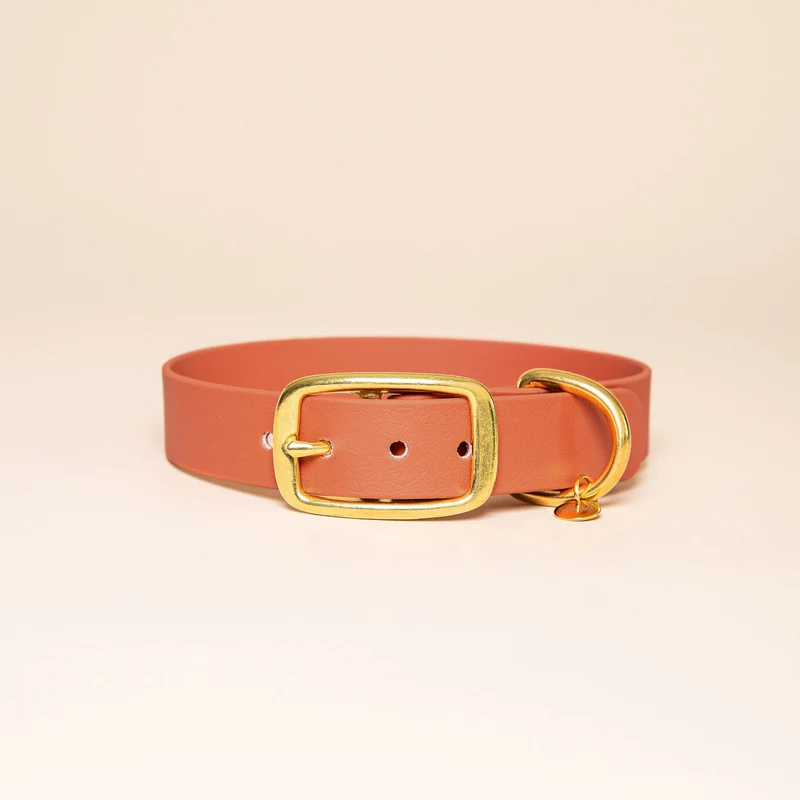 Collier pour chien en Biothane L'aventurier