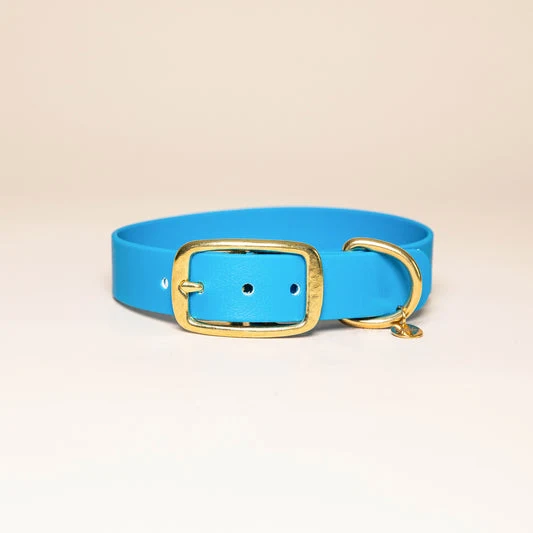 Collier pour chien en Biothane L'aventurier