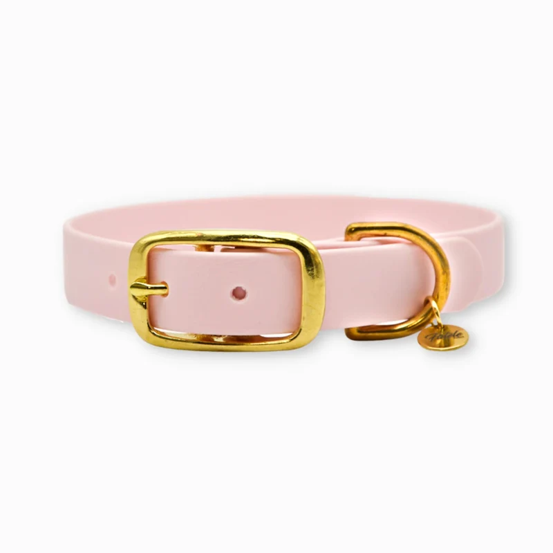 Collier pour chien en Biothane L'aventurier