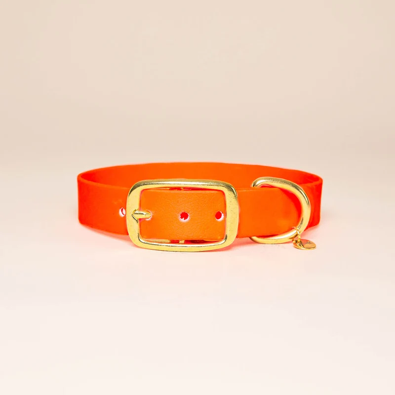 Collier pour chien en Biothane L'aventurier