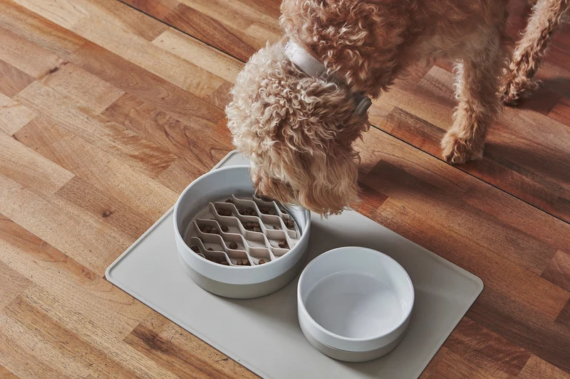 Tapis anti-glouton pour bol pour chien