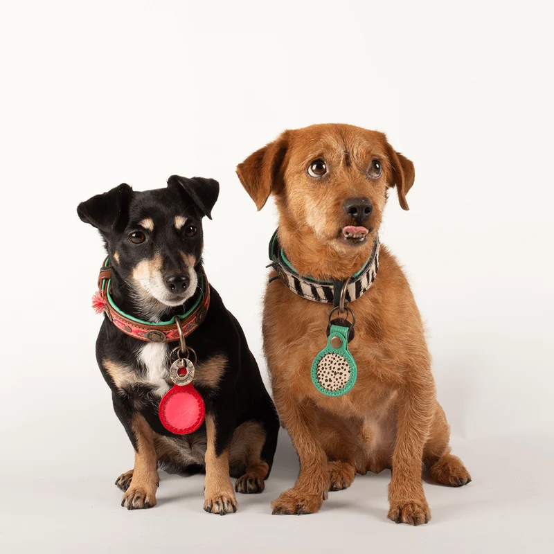 Étui pour AirTag pour chien