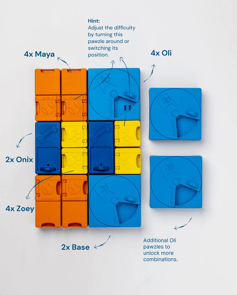 Puzzle pour chien évolutif Rainbow Set