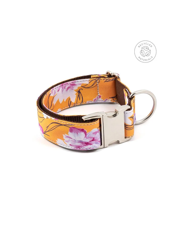 Laisse pour chien Teia
