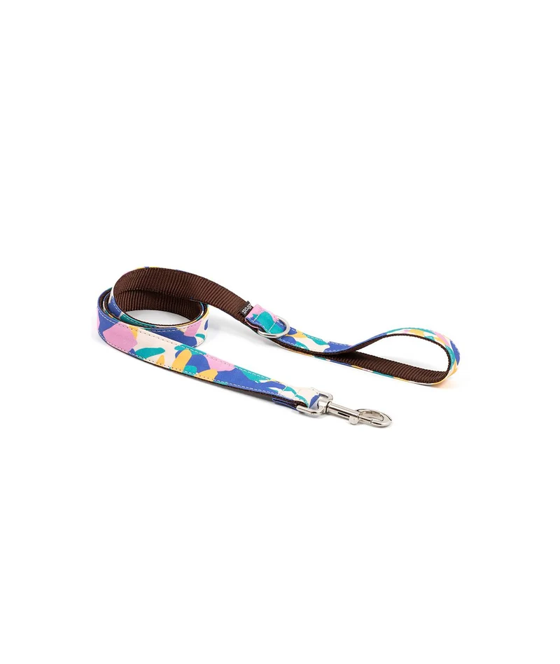 Collier pour chien Montroig