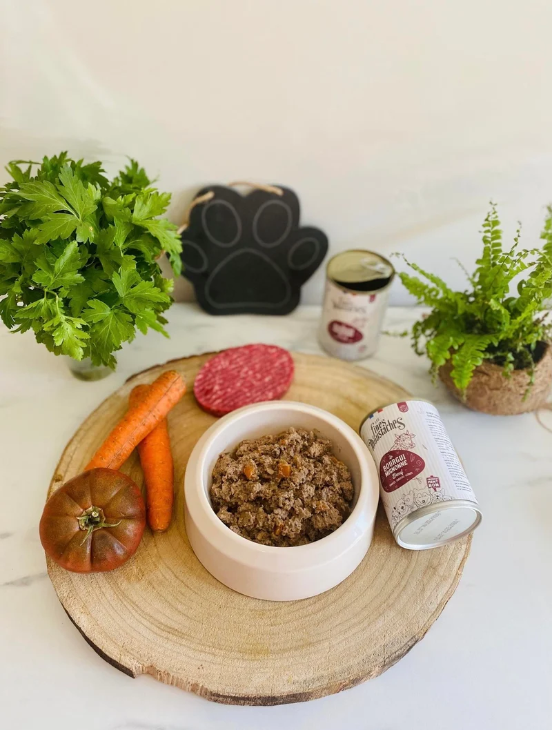 Boites pour chien Bourguimignonne