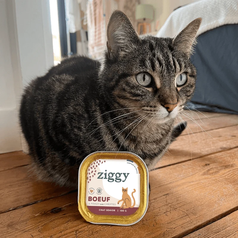 Pâtée chat senior sans céréales au bœuf