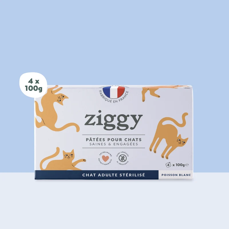 Pâtée chat stérilisé au poisson blanc Ziggy