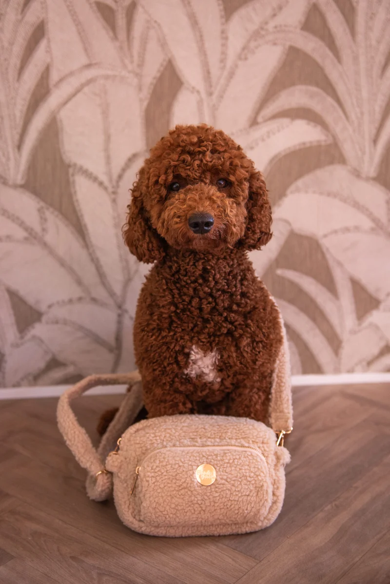 Sac banane avec distributeur de sacs canins intégré