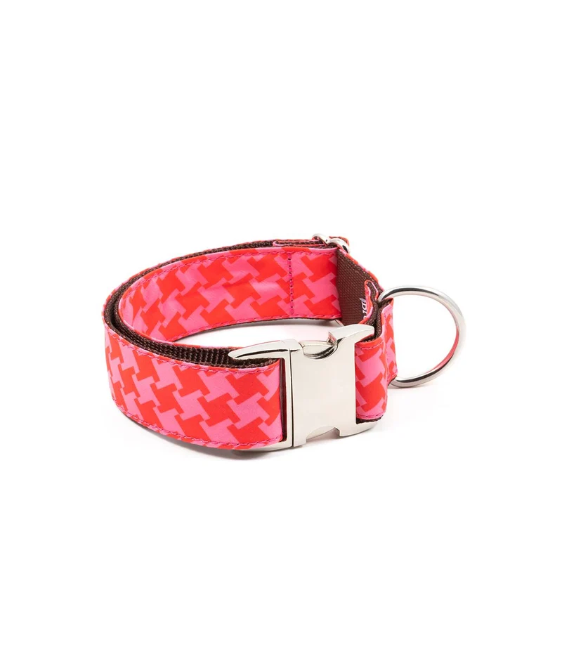 Collier pour chien Mirallès