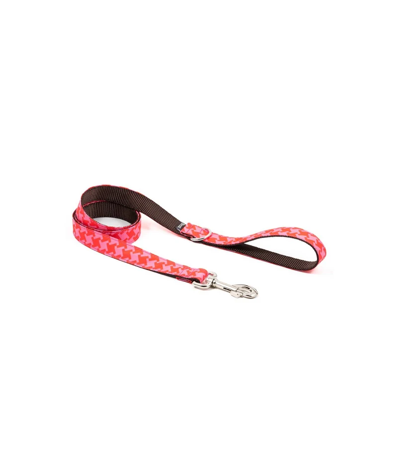 Collier pour chien Mirallès
