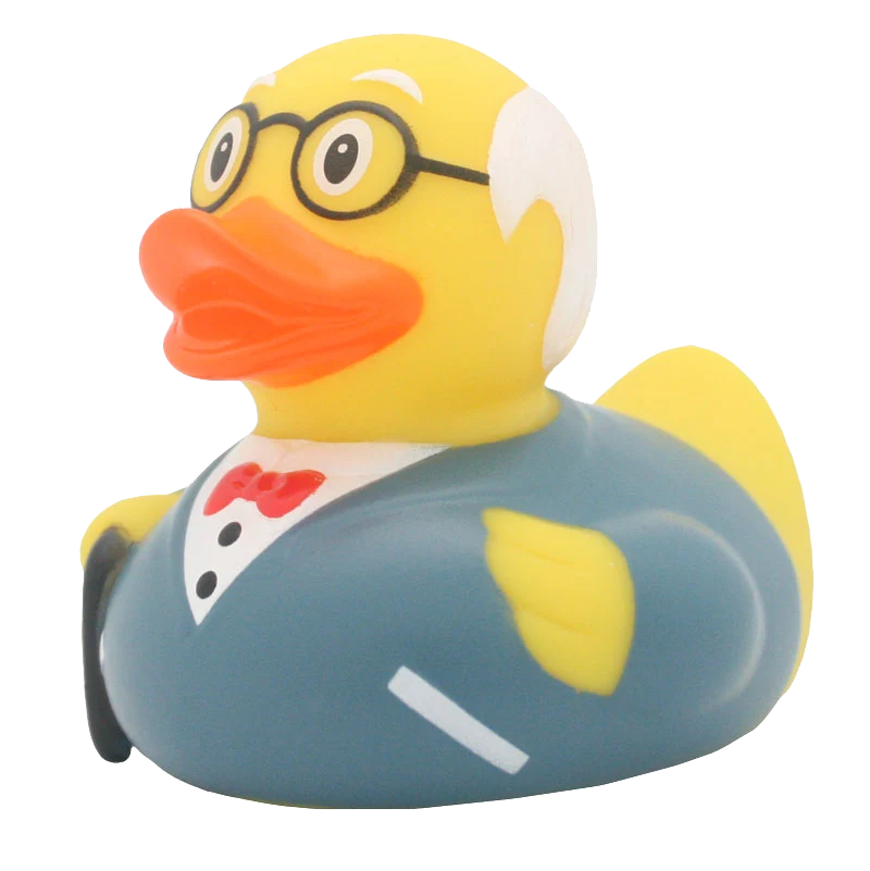 Duo de Canards Papi et Mamie