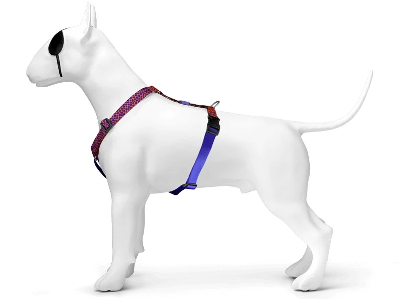 Harnais en H pour chien Urban Lizard