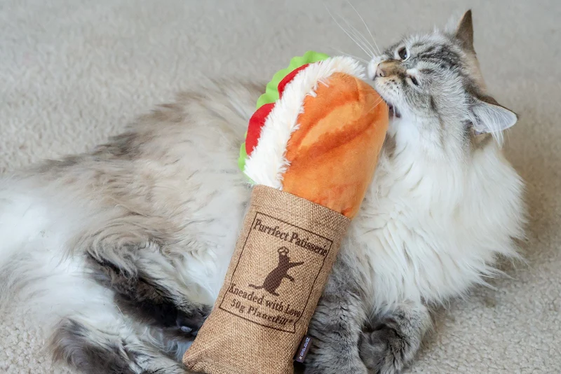 Peluche pour chat sandwich thon