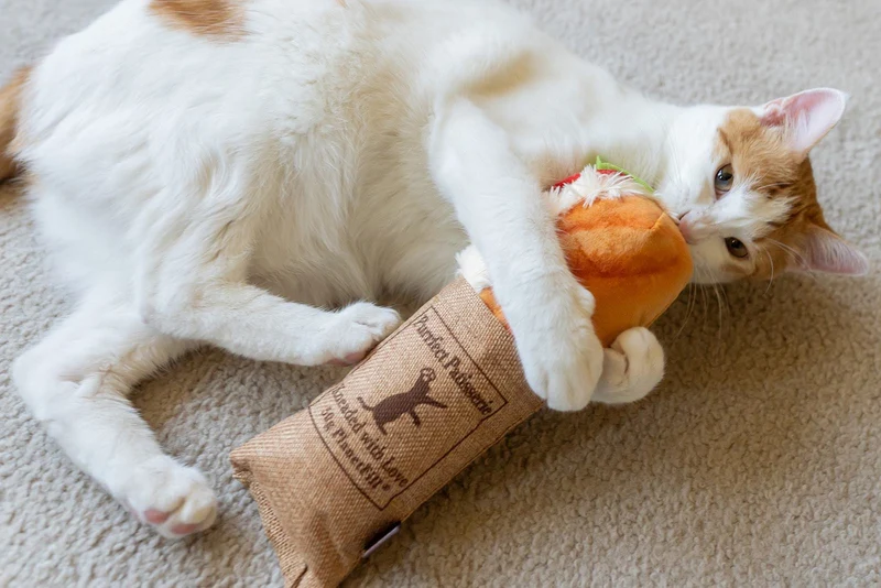 Peluche pour chat sandwich thon