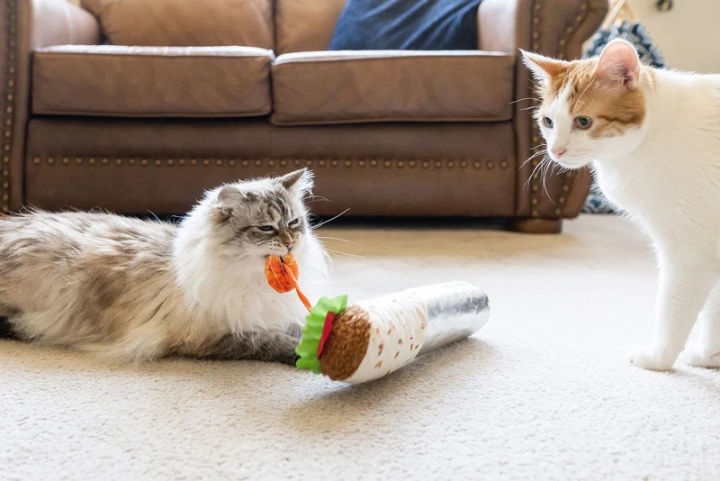 Peluche maxi pour chat burrito