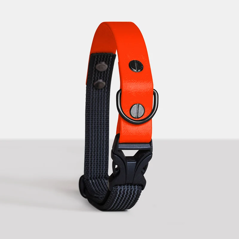 Collier DUO imperméable pour chien