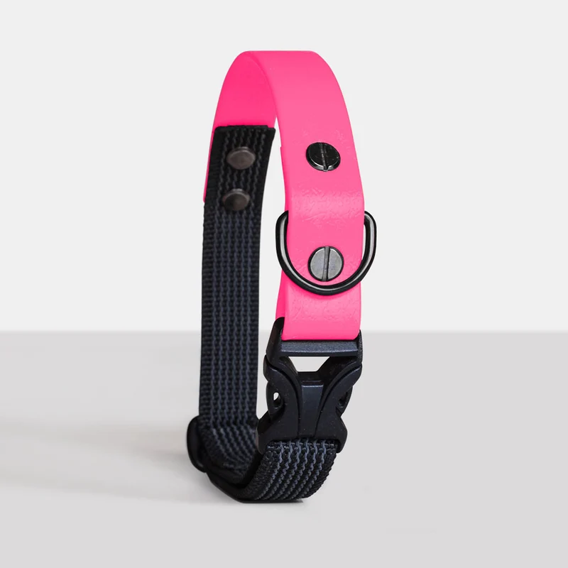 Collier DUO imperméable pour chien