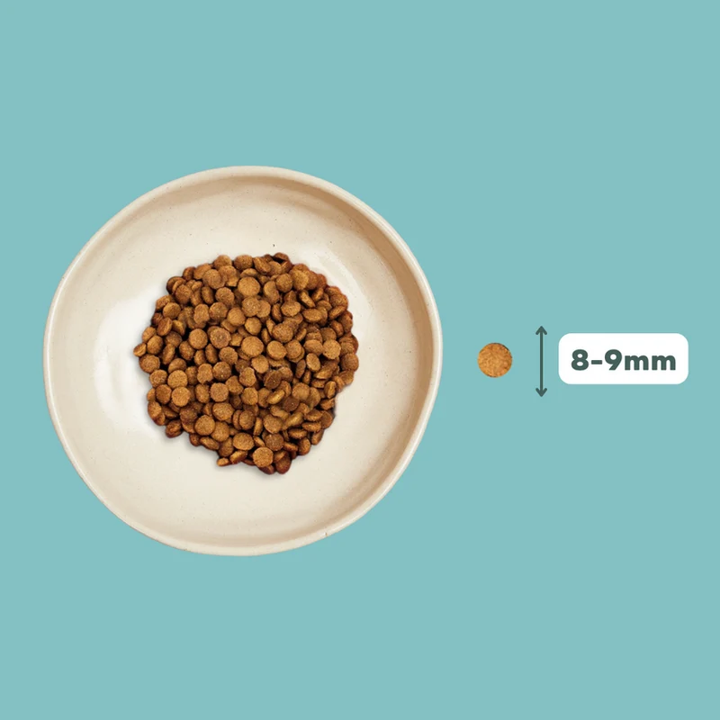 Croquettes chat stérilisé sans céréales au saumon