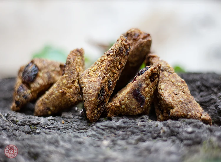 Friandises pour chiens cranberries et curcuma
