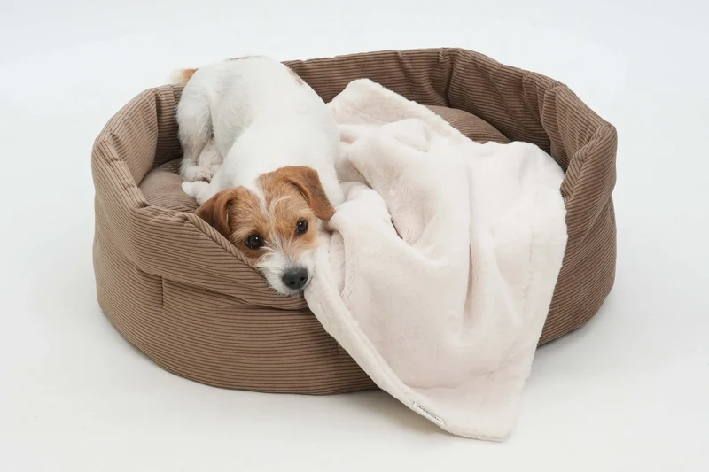 Panier rond pour chien et chat Chelsea