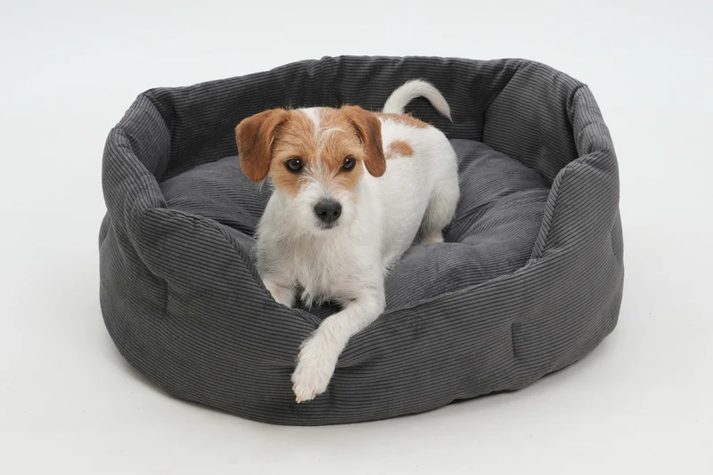 Panier rond pour chien et chat Chelsea