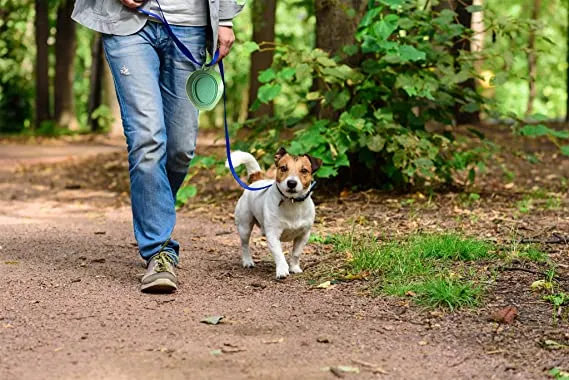 Bol de voyage pour chien Leaf