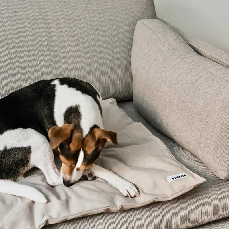 Duvet pour chien en coton bio