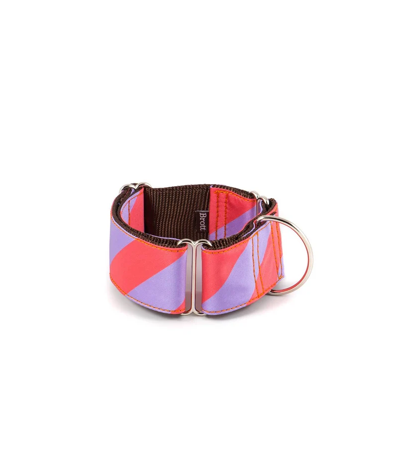 Collier pour chien Sagaro classique et martingale