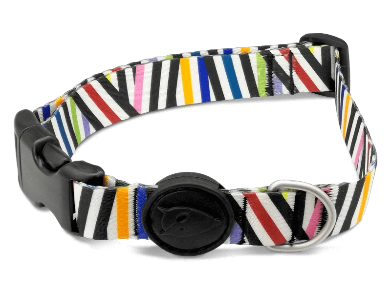 Collier pour chien Spaghetti