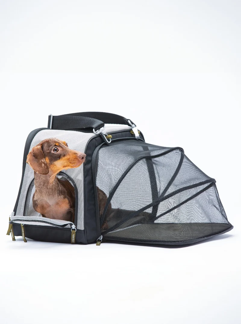 Sac de transport pour petit chien Mesh