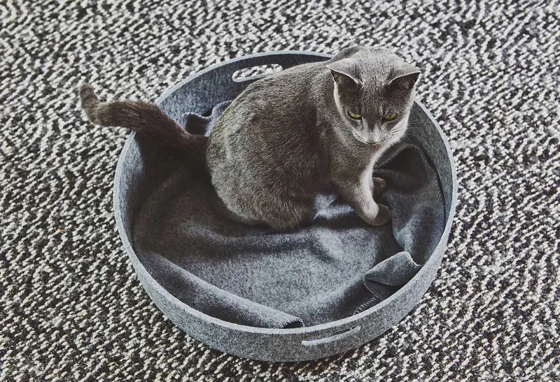Panier pour chat design Cesto