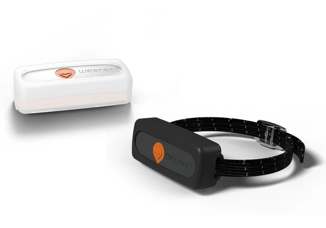 Collier GPS pour chat Weenect XS