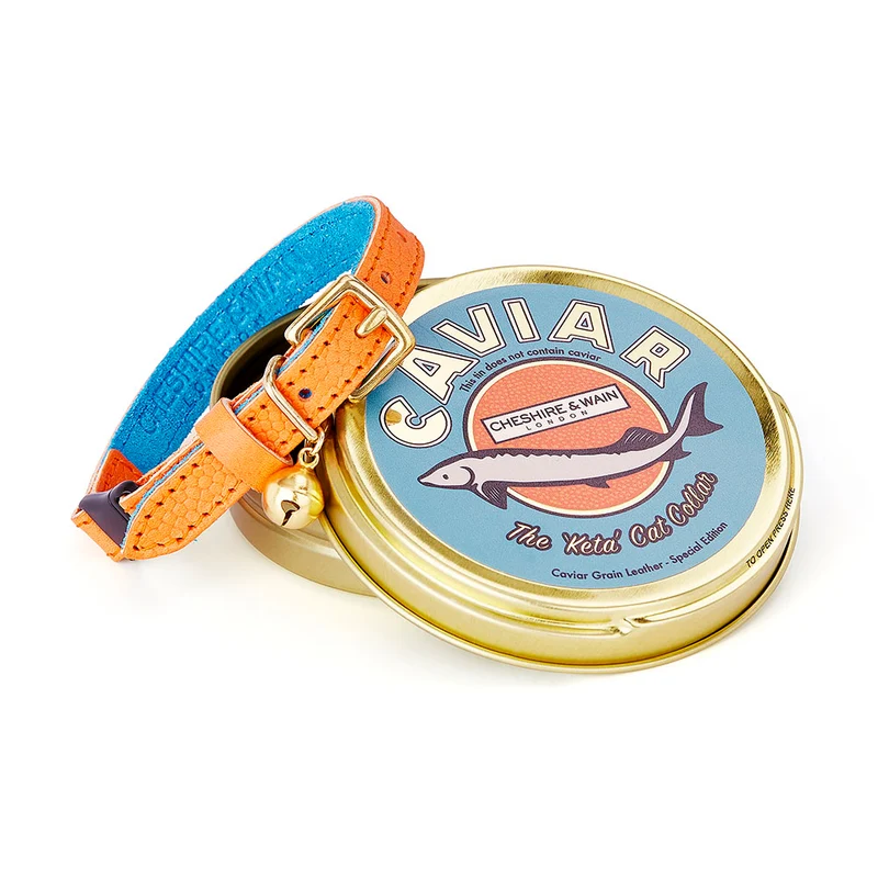 Collier pour chat en cuir Keta Caviar