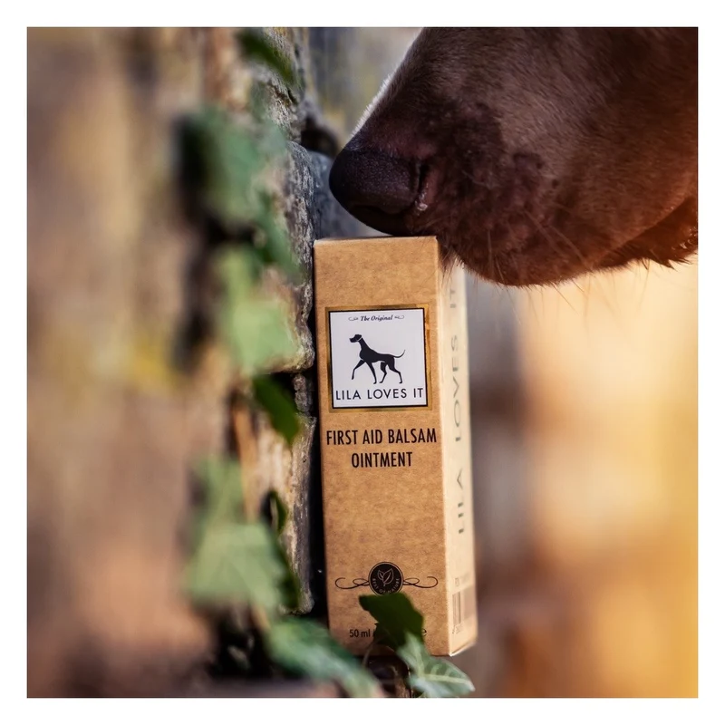 Sérum premiers soins pour chien et chat