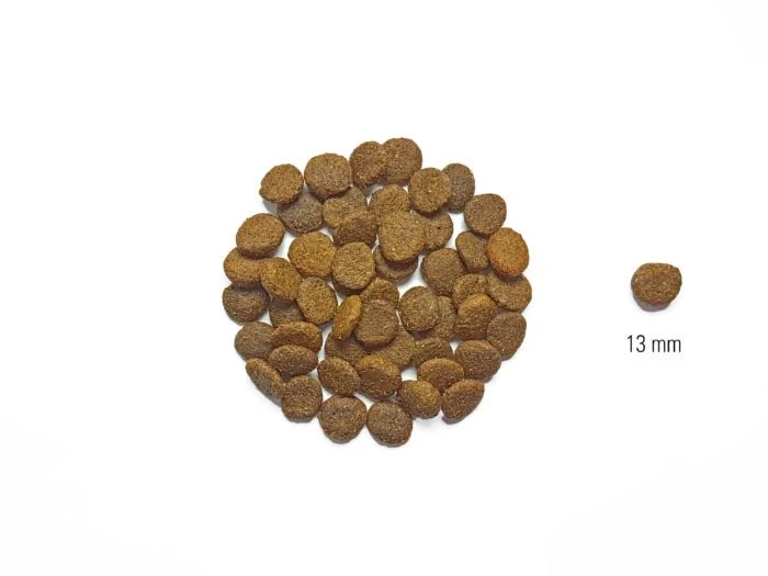 Croquettes chien adulte saumon & truite, patate douce & spiruline – DOG’S LOVE