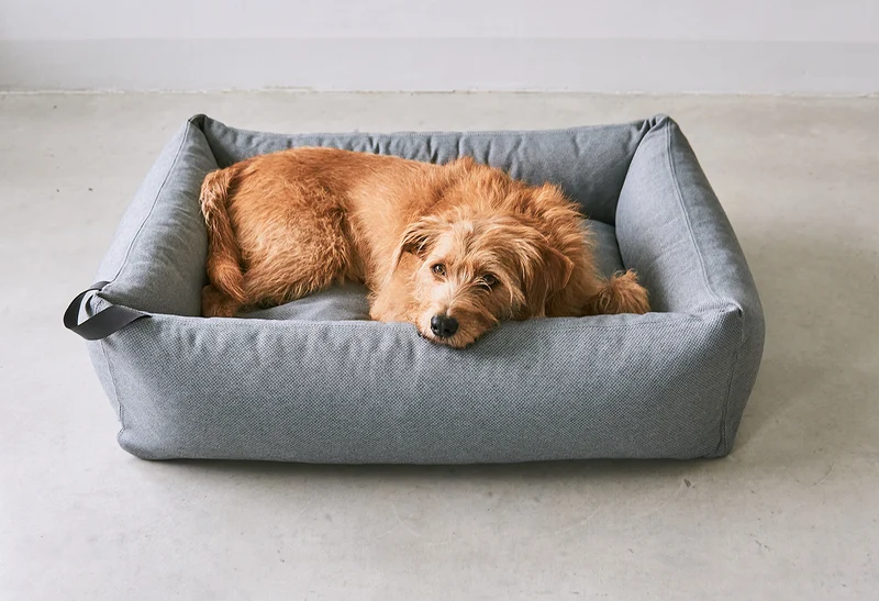 Lit pour chien orthopédique Mare