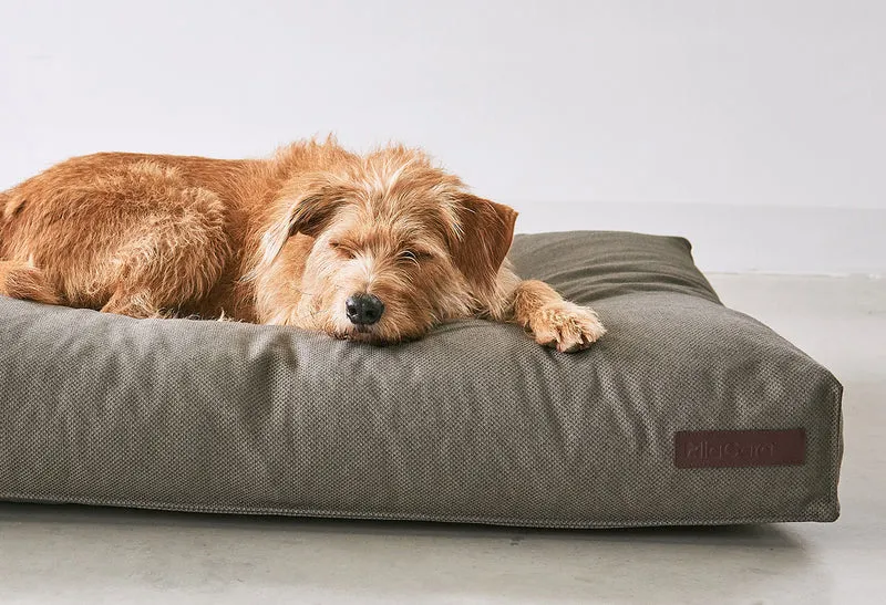 Coussin pour chien orthopédique Mare