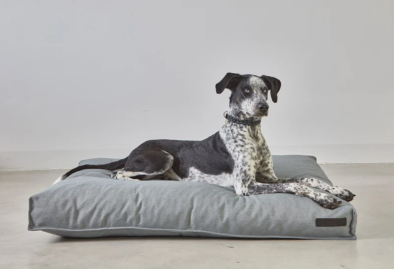 Coussin pour chien orthopédique Mare