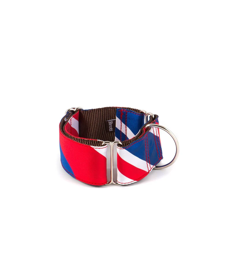 Collier pour chien Beleser classique et martingale