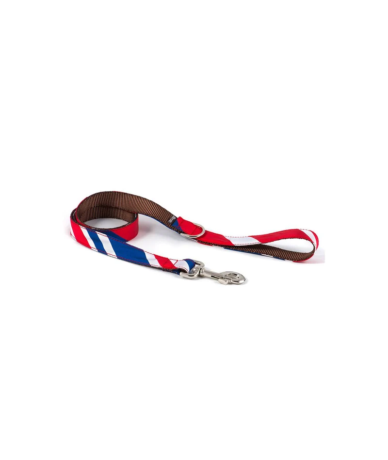 Laisse pour chien Beleser
