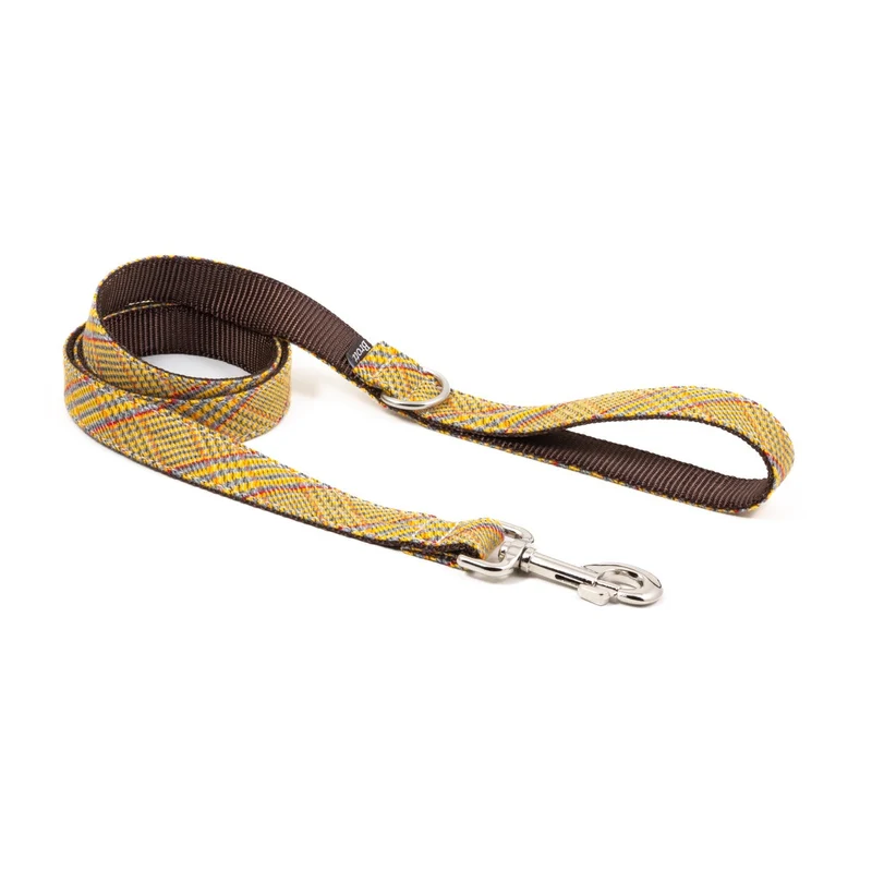 Collier pour chien Salardu