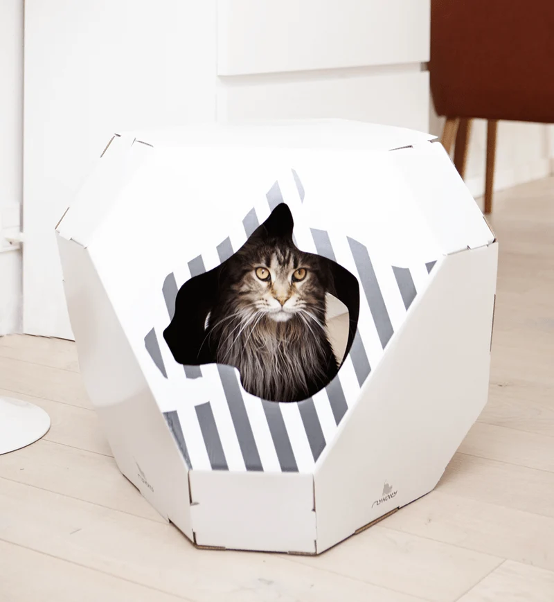 Maison en carton pour chat