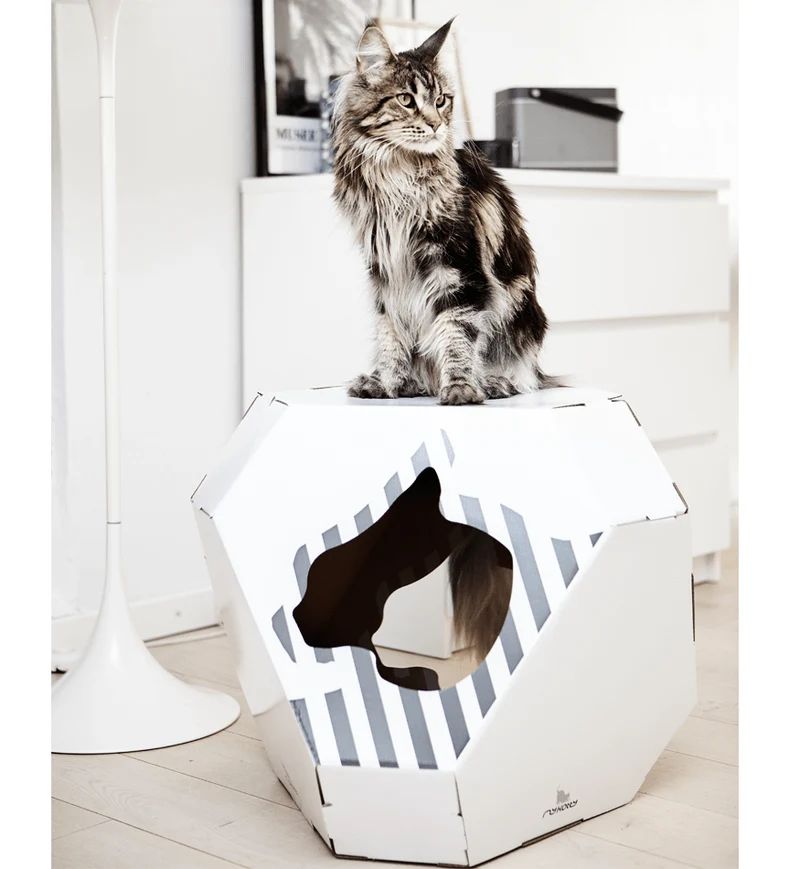 Maison en carton pour chat