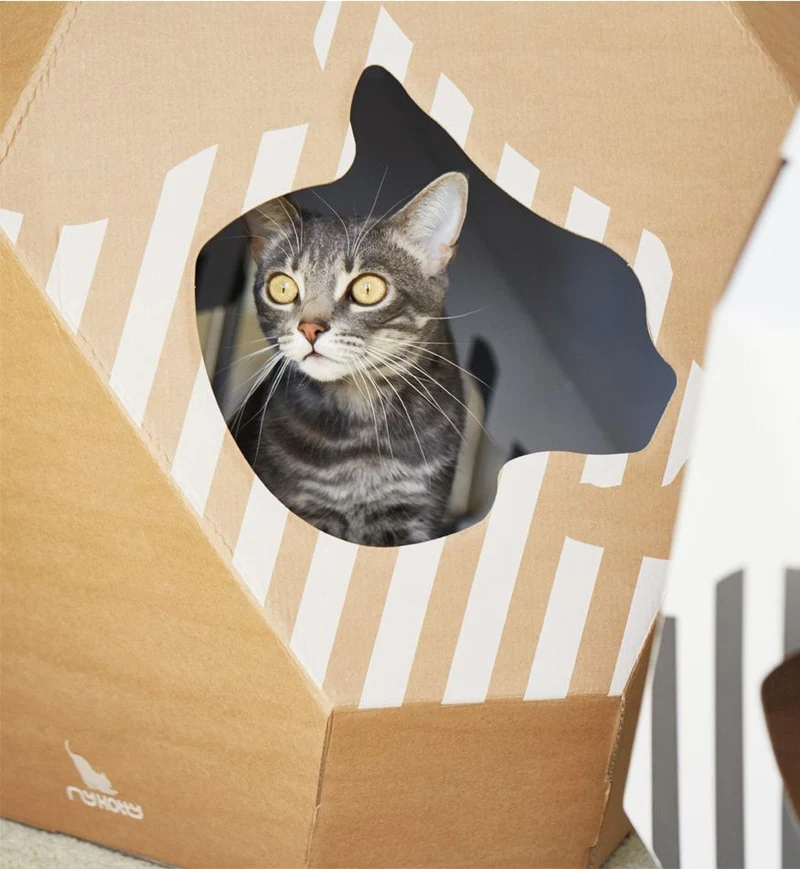 Maison en carton pour chat