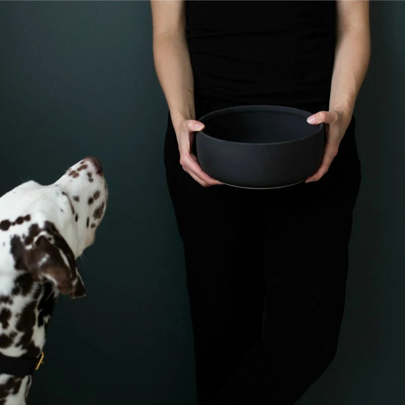 Bol pour chien design nordique Ole hyvä