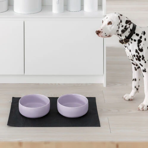 Bol pour chien design nordique Ole hyvä