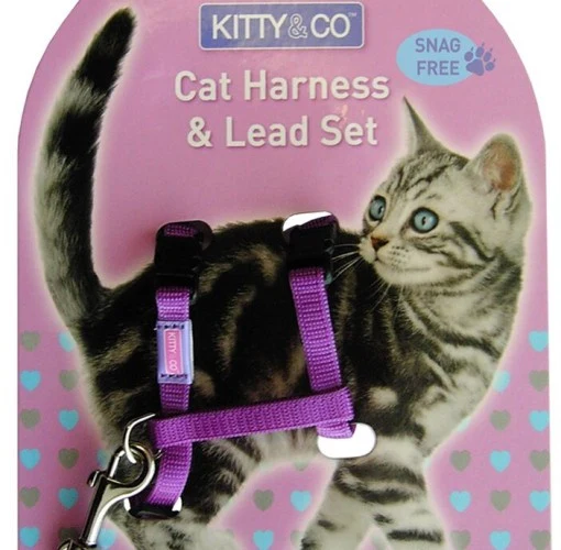 Harnais et Laisse couleur unie pour chat
