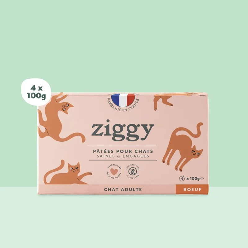 Pâtée pour chat au boeuf et poulet